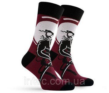 Шкарпетки патріотичні Premier Socks Козак-характерник, унісекс, розм. 42-43 0145 фото