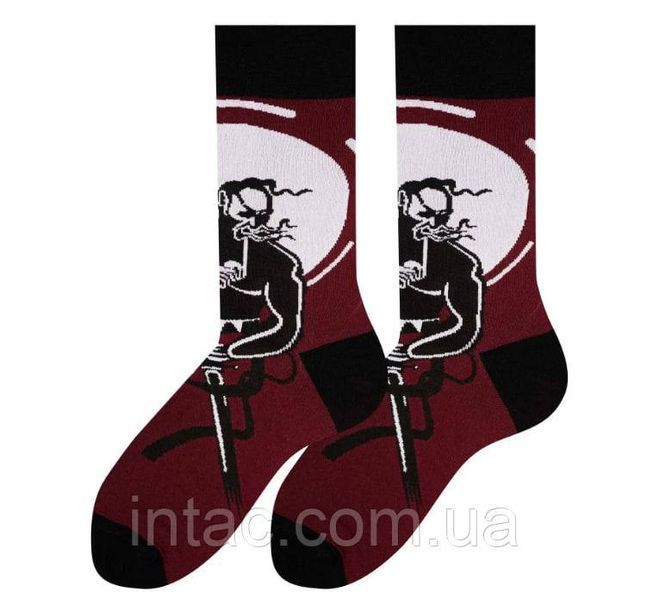 Шкарпетки патріотичні Premier Socks Козак-характерник, унісекс, розм. 42-43 0145 фото