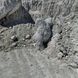 Маскировочный костюм-кикимора, Белый мультикам 5811 фото 3