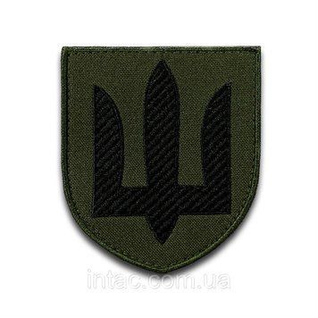Шеврон Інженерних військ та Військ зв'язку ЗСУ на липучці (олива). Розмыр: 6х8см 8680 фото