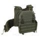 Плитоноска Falcon XL PRO Ranger Green с функцией быстрого сброса PL-030 фото 5